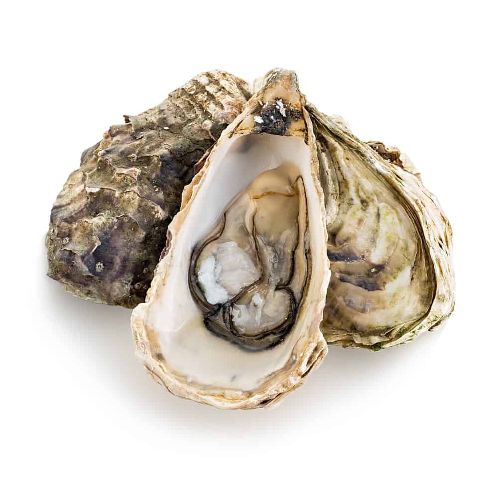 Are Pacific or Eastern oysters better