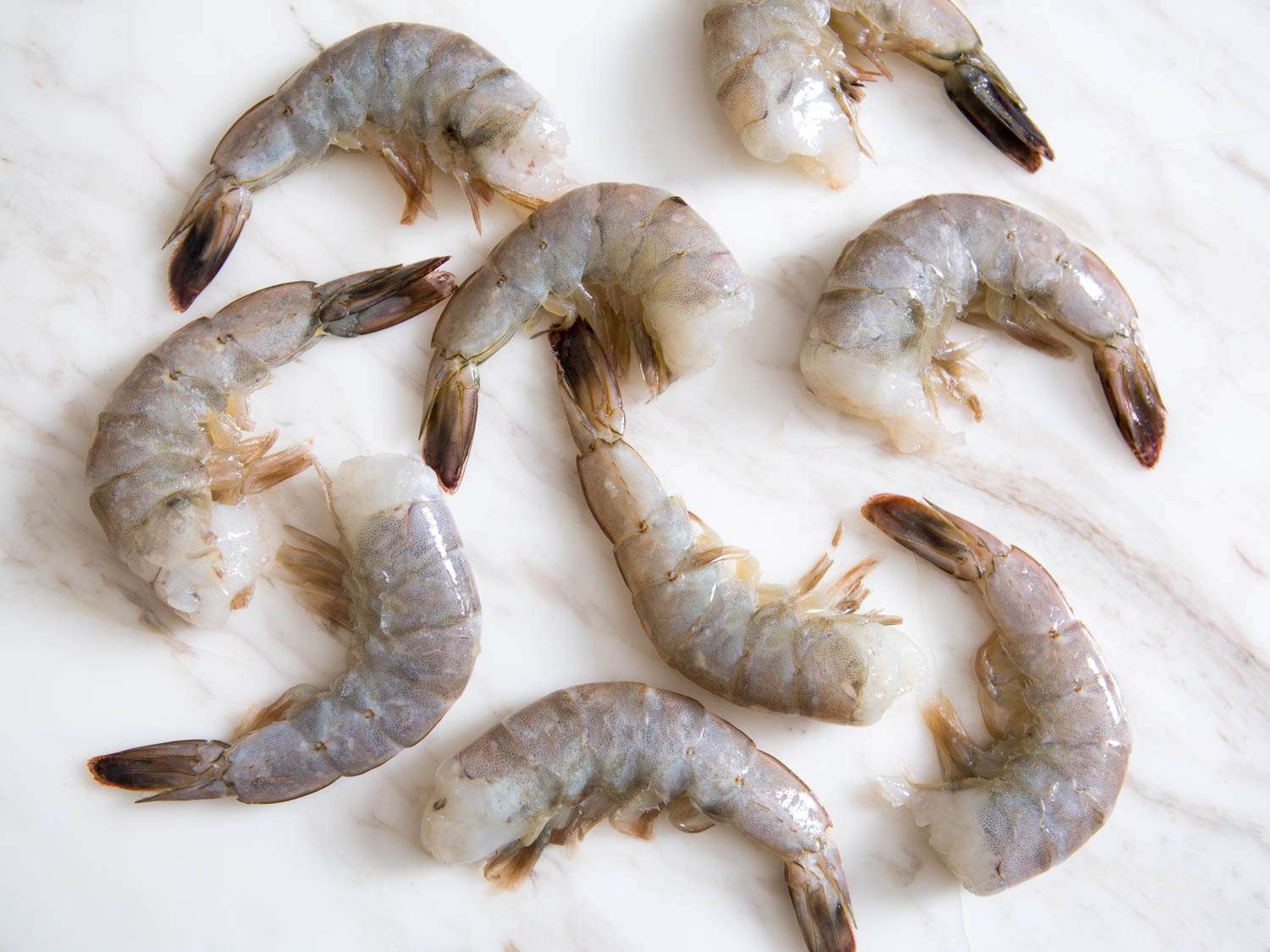 How do you tell if shrimp has gone bad in the freezer