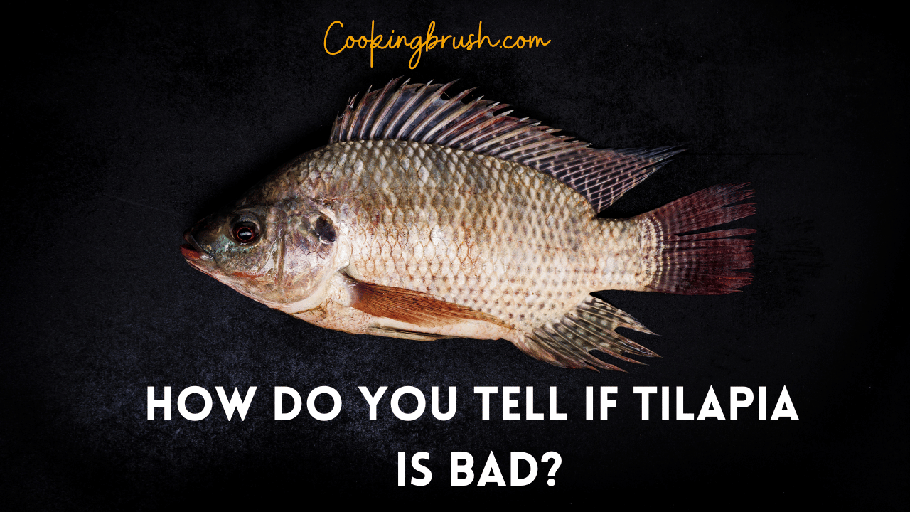 How do you tell if tilapia is bad? Cooking Brush